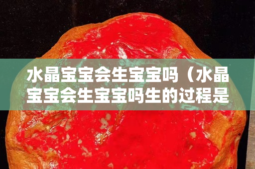 水晶宝宝会生宝宝吗（水晶宝宝会生宝宝吗生的过程是什么样子的）