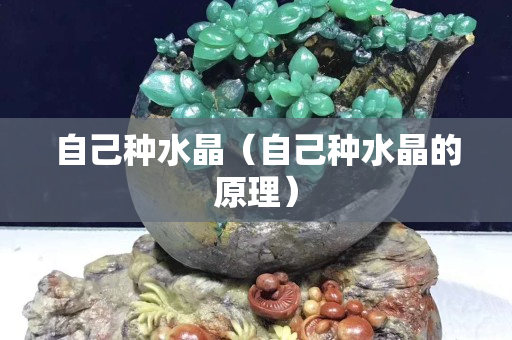 自己种水晶（自己种水晶的原理）
