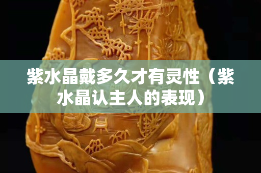 紫水晶戴多久才有灵性（紫水晶认主人的表现）