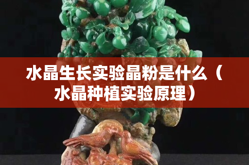 水晶生长实验晶粉是什么（水晶种植实验原理）