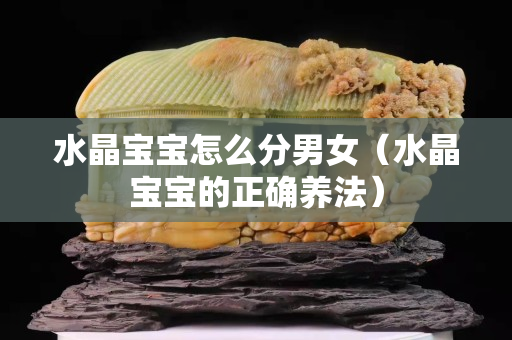 水晶宝宝怎么分男女（水晶宝宝的正确养法）