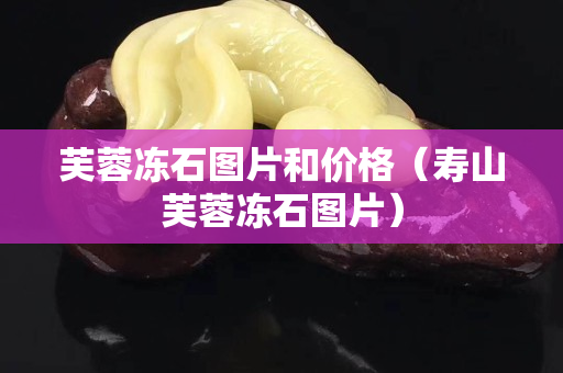 芙蓉冻石图片和价格（寿山芙蓉冻石图片）