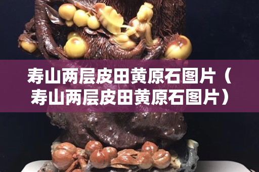 寿山两层皮田黄原石图片（寿山两层皮田黄原石图片）