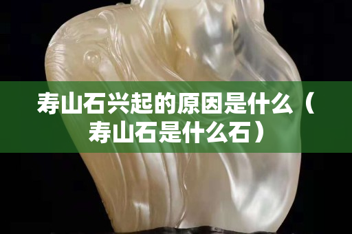 寿山石兴起的原因是什么（寿山石是什么石）