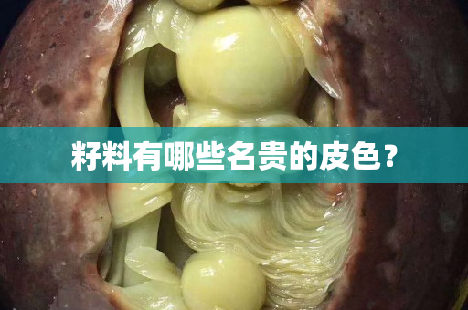 籽料有哪些名贵的皮色？