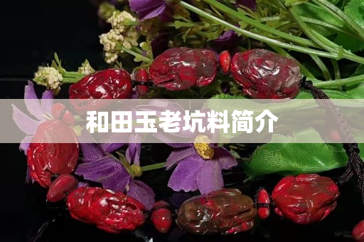 和田玉老坑料简介