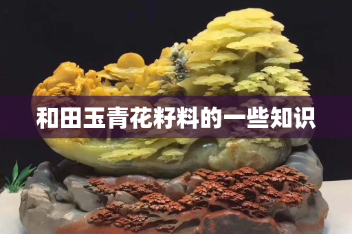 和田玉青花籽料的一些知识