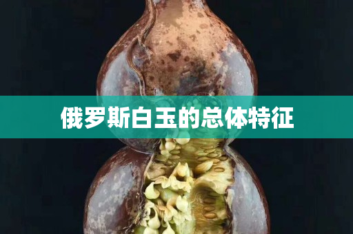 俄罗斯白玉的总体特征