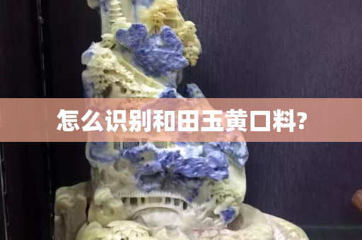 怎么识别和田玉黄口料?