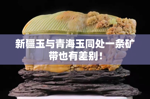 新疆玉与青海玉同处一条矿带也有差别！
