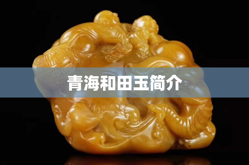 青海和田玉简介