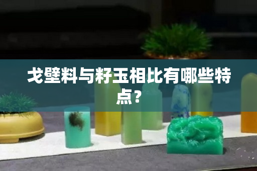 戈壁料与籽玉相比有哪些特点？