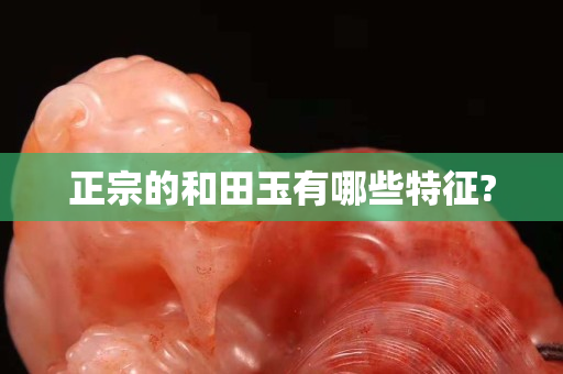 正宗的和田玉有哪些特征?