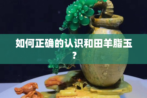 如何正确的认识和田羊脂玉？