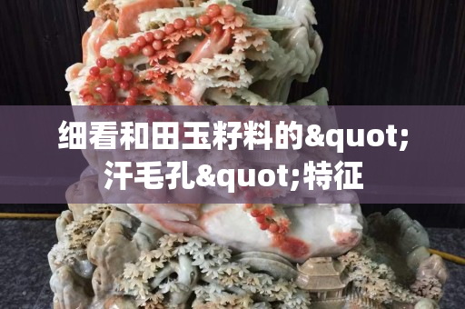 细看和田玉籽料的"汗毛孔"特征