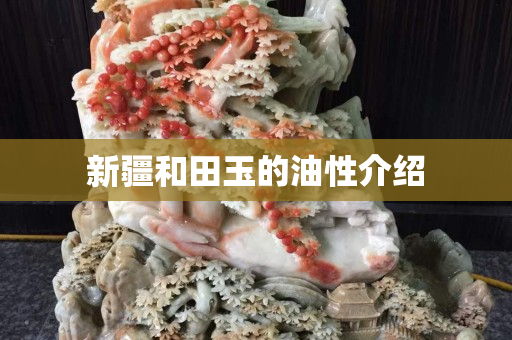 新疆和田玉的油性介绍