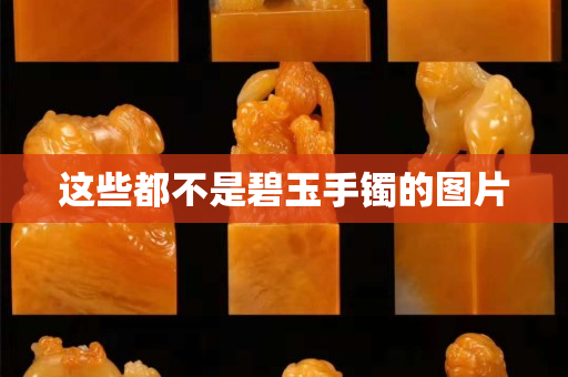 这些都不是碧玉手镯的图片