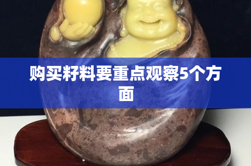 购买籽料要重点观察5个方面