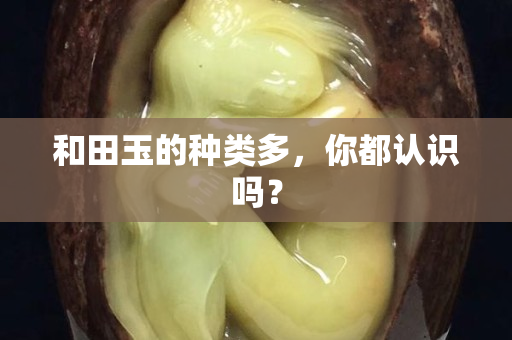 和田玉的种类多，你都认识吗？