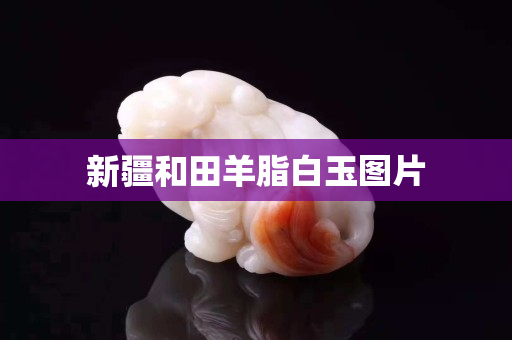 新疆和田羊脂白玉图片