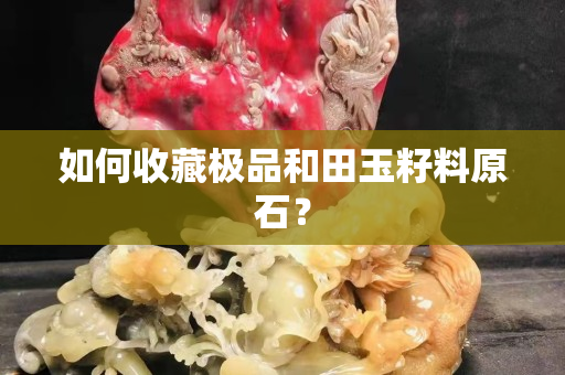 如何收藏极品和田玉籽料原石？
