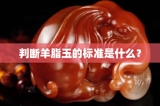 判断羊脂玉的标准是什么？