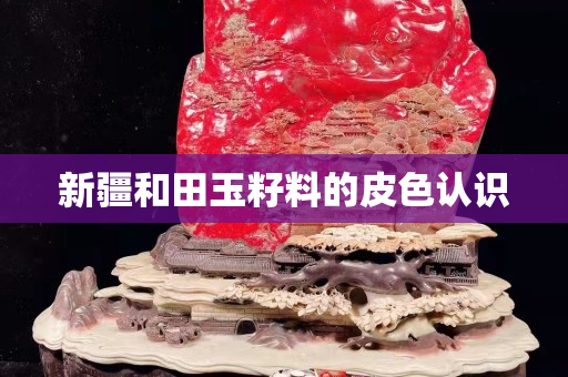 新疆和田玉籽料的皮色认识