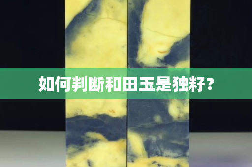 如何判断和田玉是独籽？