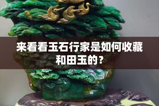 来看看玉石行家是如何收藏和田玉的？