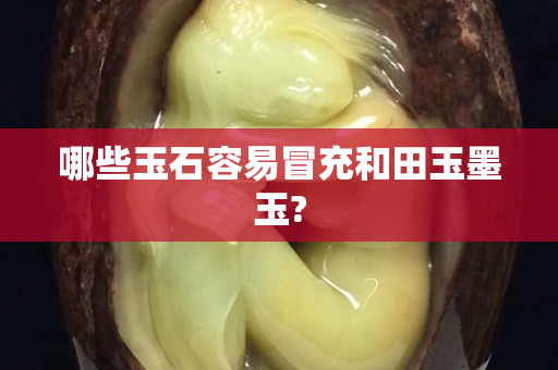 哪些玉石容易冒充和田玉墨玉?