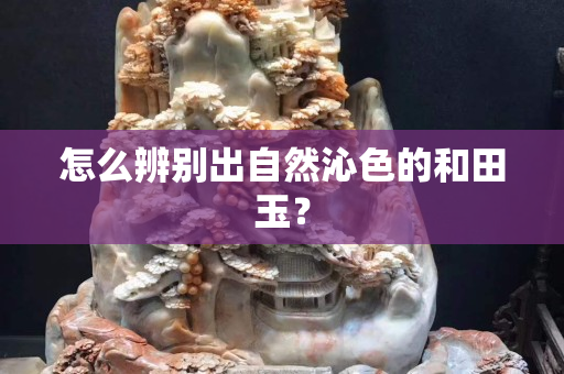 怎么辨别出自然沁色的和田玉？