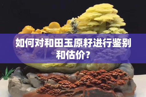 如何对和田玉原籽进行鉴别和估价？