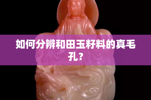 如何分辨和田玉籽料的真毛孔？