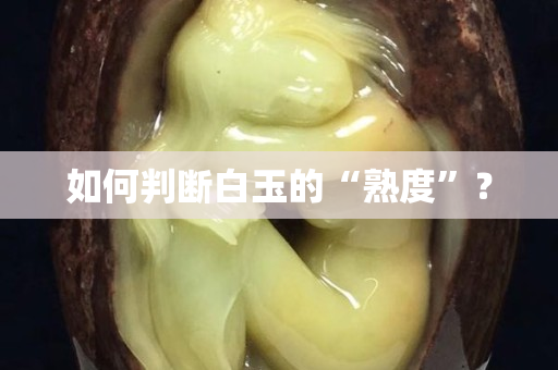 如何判断白玉的“熟度”？