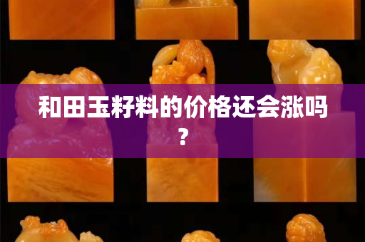 和田玉籽料的价格还会涨吗?