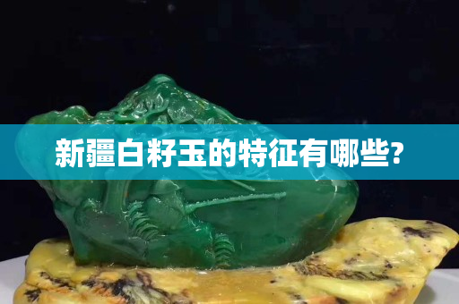 新疆白籽玉的特征有哪些?