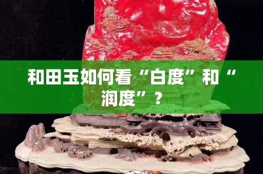 和田玉如何看“白度”和“润度”？