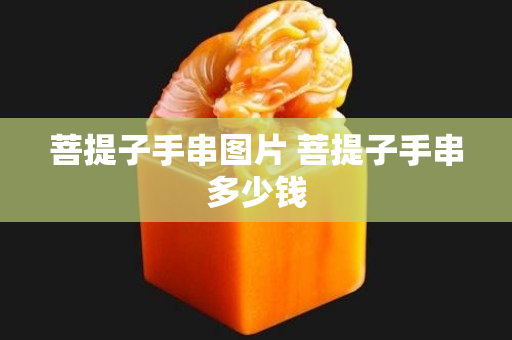 菩提子手串图片 菩提子手串多少钱
