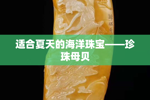 适合夏天的海洋珠宝——珍珠母贝