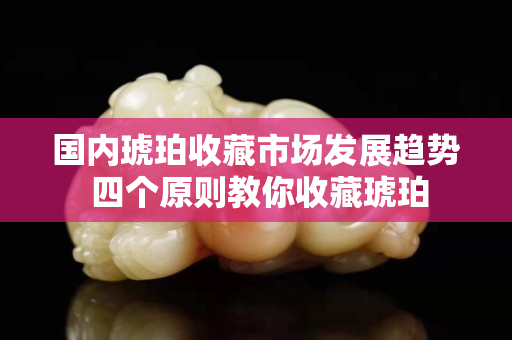 国内琥珀收藏市场发展趋势 四个原则教你收藏琥珀