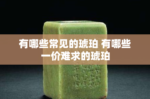 有哪些常见的琥珀 有哪些一价难求的琥珀