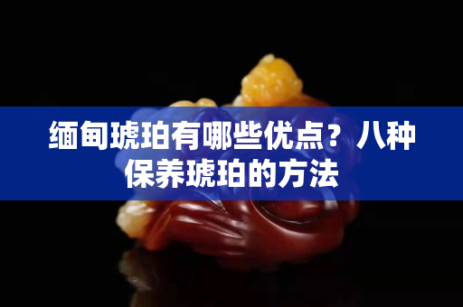 缅甸琥珀有哪些优点？八种保养琥珀的方法