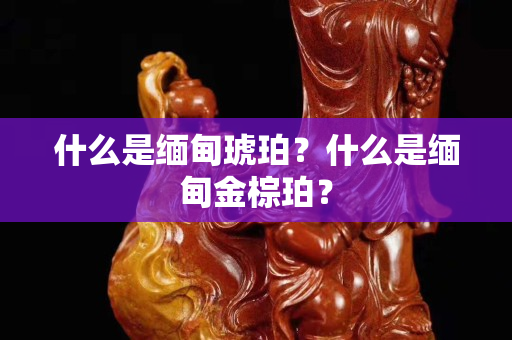 什么是缅甸琥珀？什么是缅甸金棕珀？