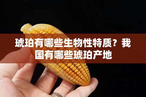 琥珀有哪些生物性特质？我国有哪些琥珀产地