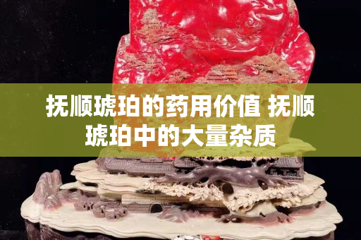抚顺琥珀的药用价值 抚顺琥珀中的大量杂质
