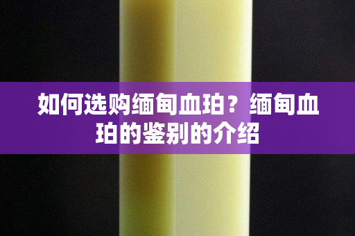 如何选购缅甸血珀？缅甸血珀的鉴别的介绍