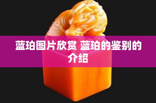 蓝珀图片欣赏 蓝珀的鉴别的介绍