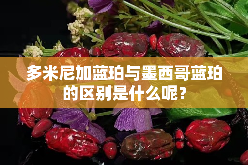 多米尼加蓝珀与墨西哥蓝珀的区别是什么呢？