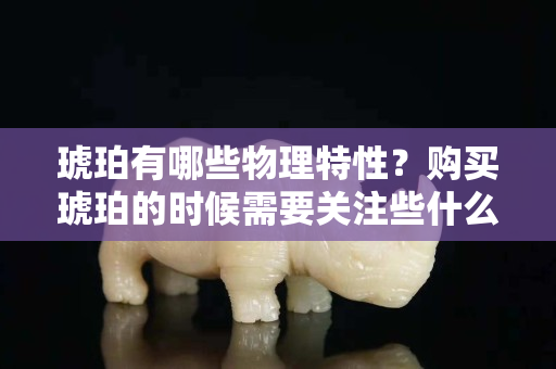 琥珀有哪些物理特性？购买琥珀的时候需要关注些什么呢？