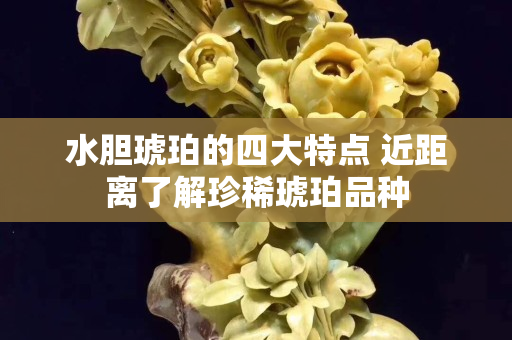 水胆琥珀的四大特点 近距离了解珍稀琥珀品种